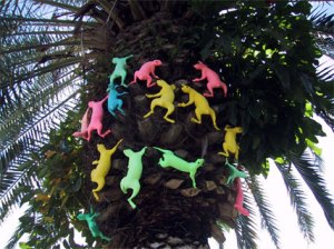 Some very colorful lizardy things on a palm tree