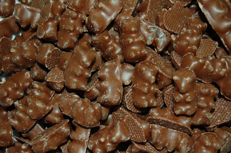 chocolate-covered-gummy-bears.jpg